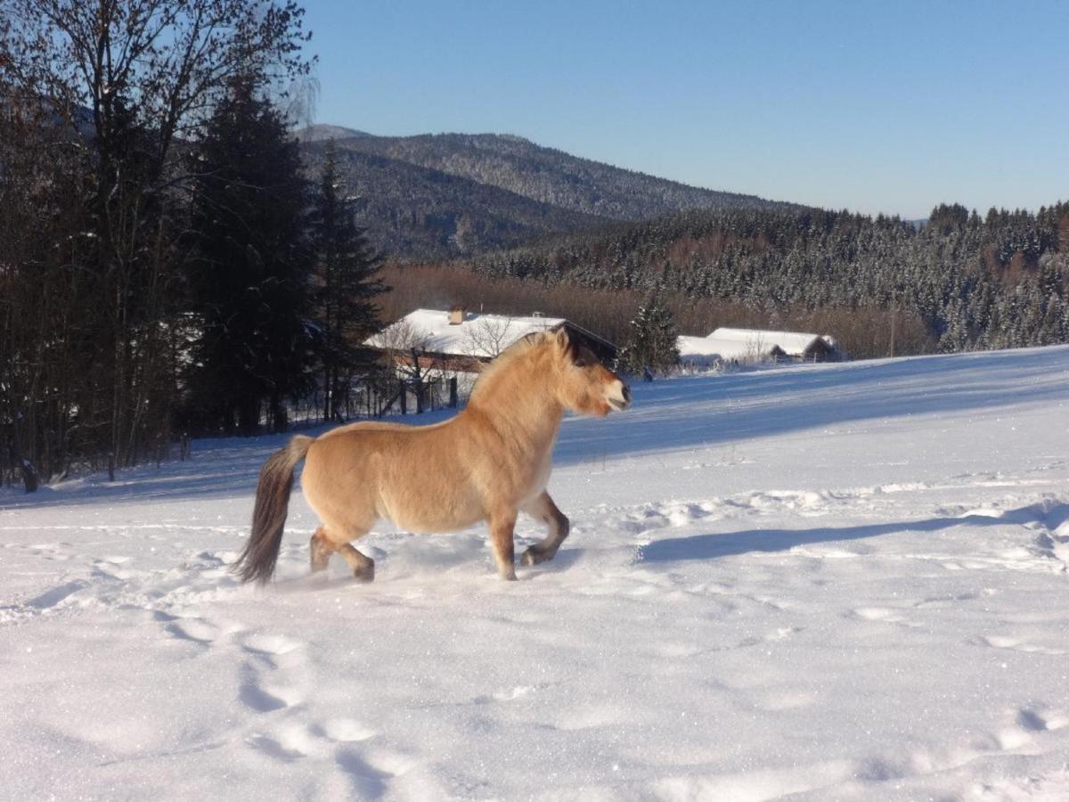 Urlaub Auf Dem Haberlhof Villa Lohberg Exteriör bild