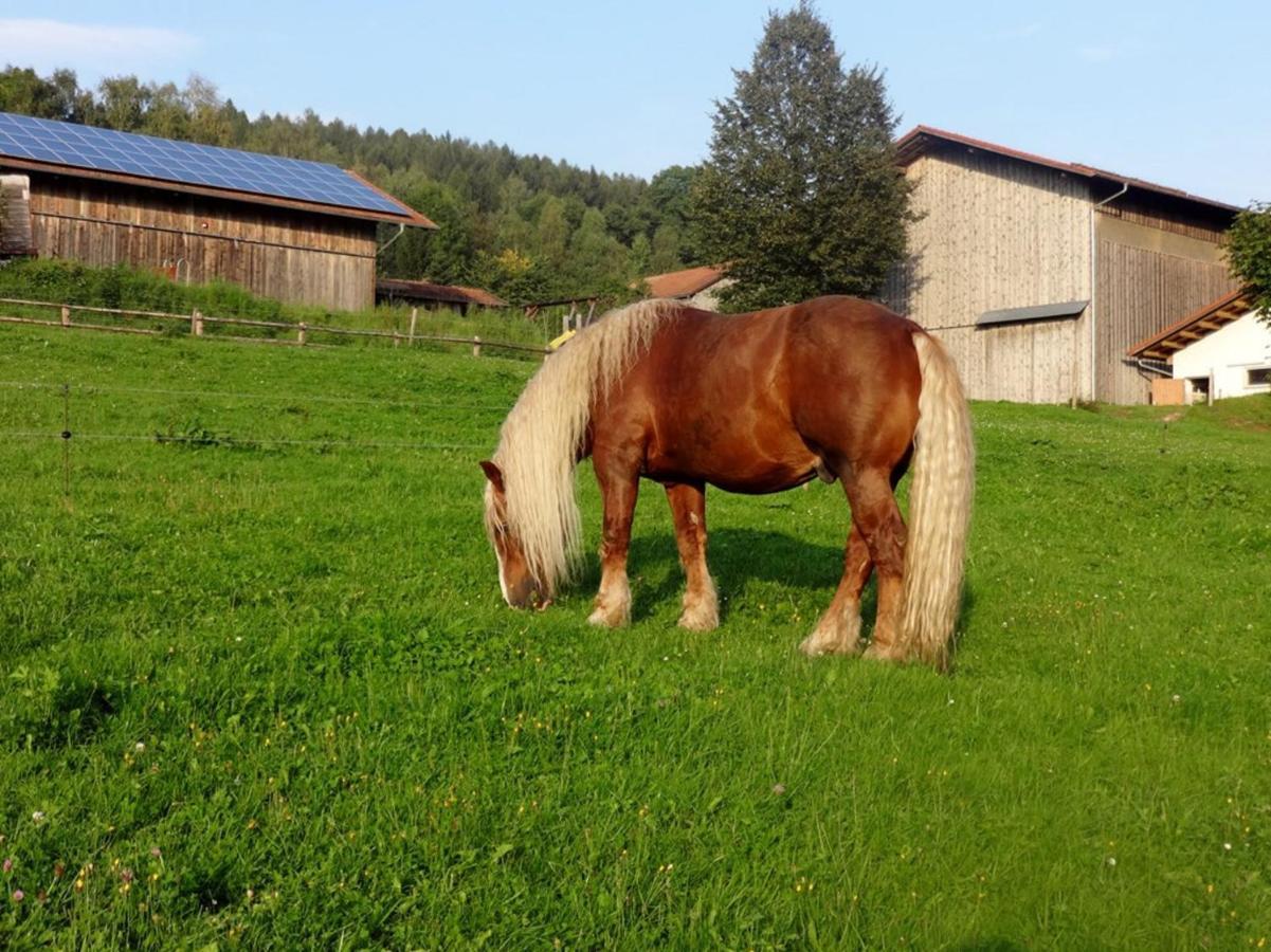 Urlaub Auf Dem Haberlhof Villa Lohberg Exteriör bild