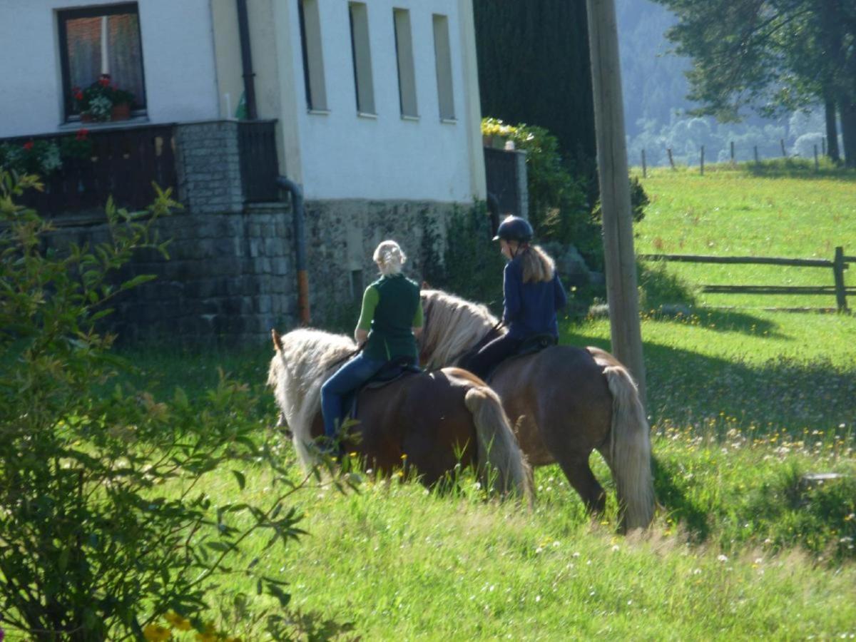 Urlaub Auf Dem Haberlhof Villa Lohberg Exteriör bild
