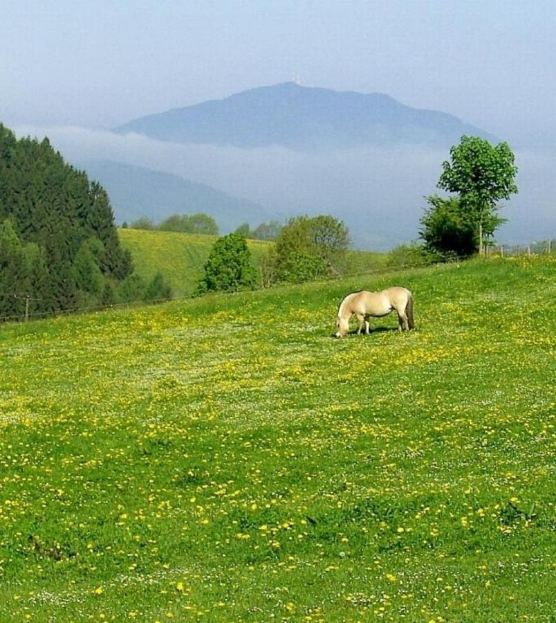 Urlaub Auf Dem Haberlhof Villa Lohberg Exteriör bild