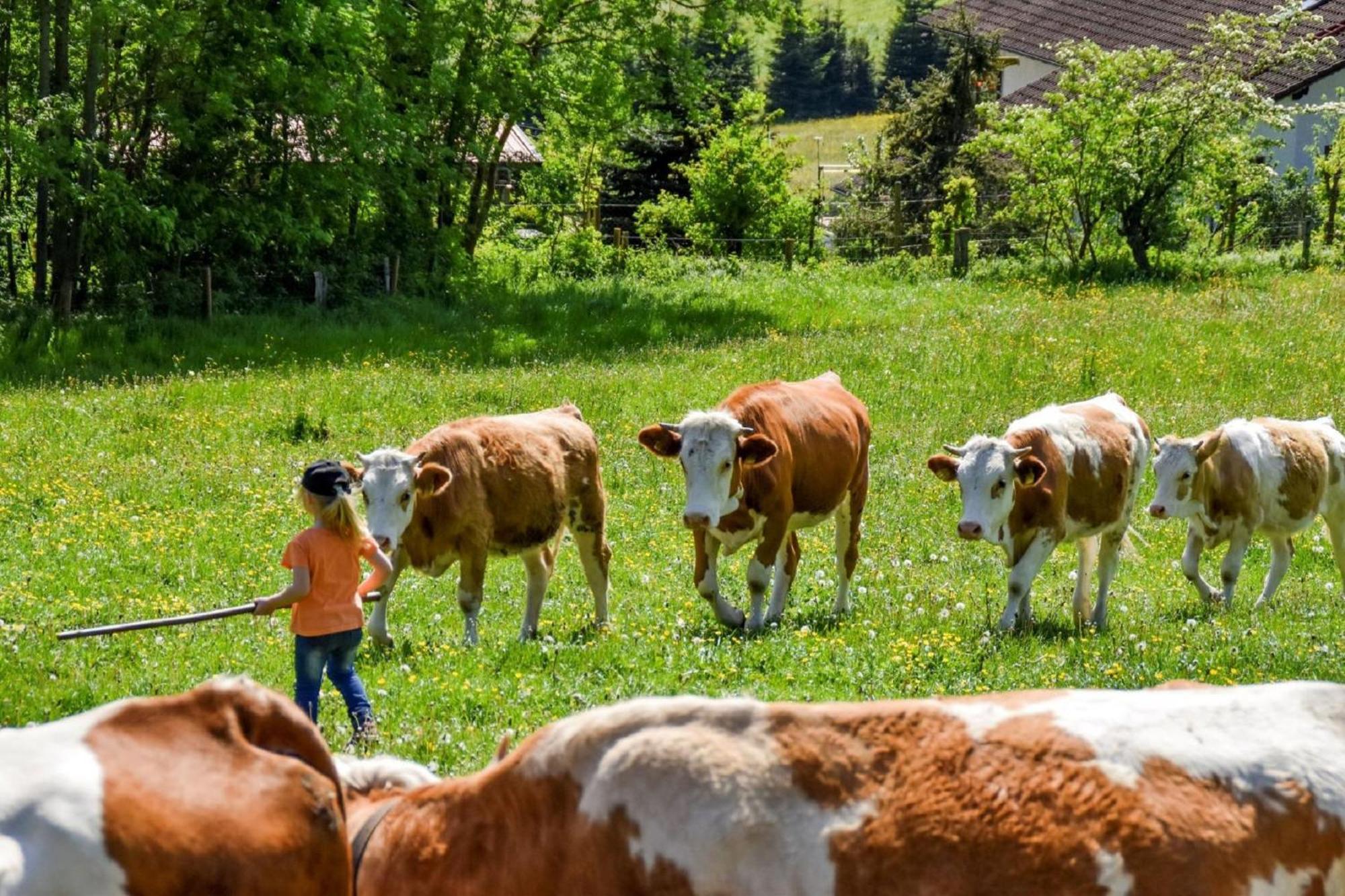 Urlaub Auf Dem Haberlhof Villa Lohberg Exteriör bild