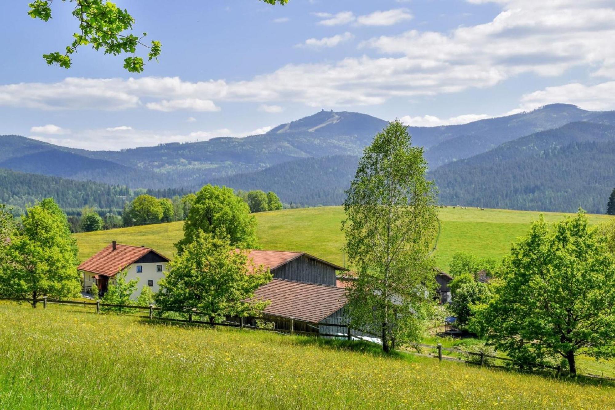 Urlaub Auf Dem Haberlhof Villa Lohberg Exteriör bild
